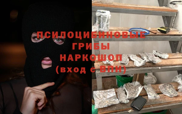 шишки Лагань