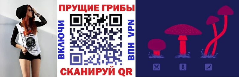 Галлюциногенные грибы мицелий  мега ТОР  Волгоград 
