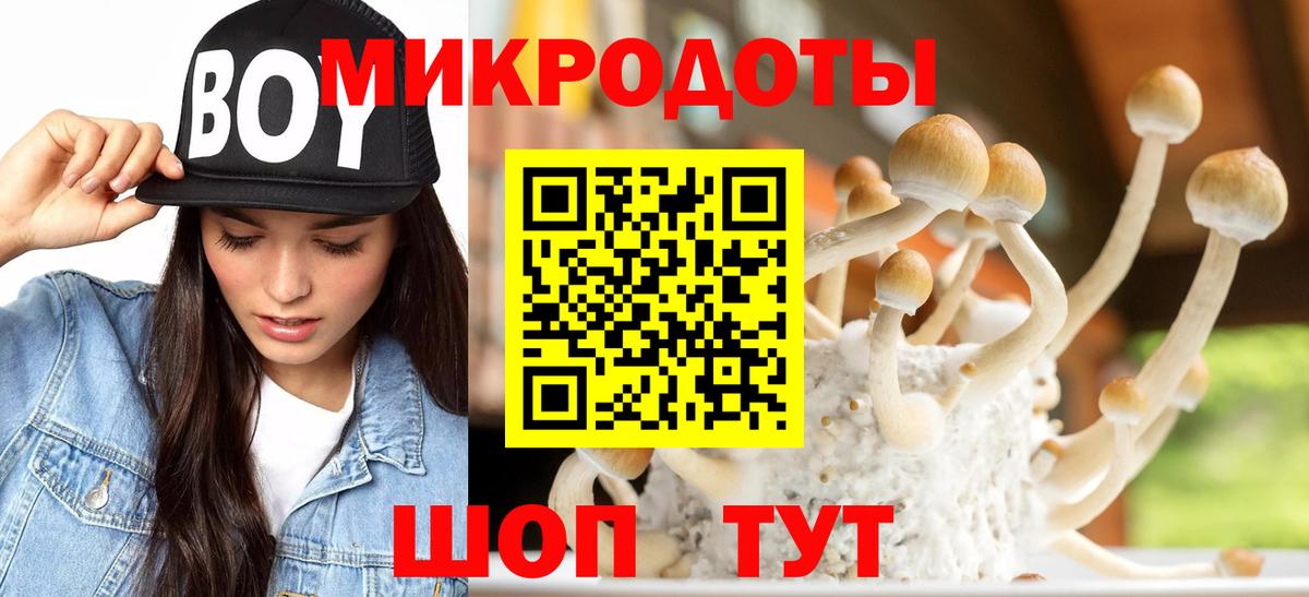 Псилоцибиновые грибы Psilocybe  Вход с VPN  Волгоград 